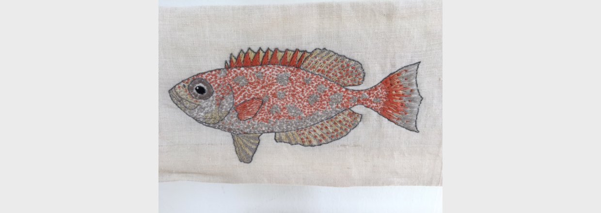 Fisk i stimer - Kbenhavns Domkirke