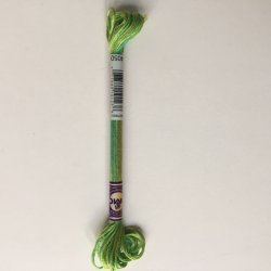 DMC multicolour 4050