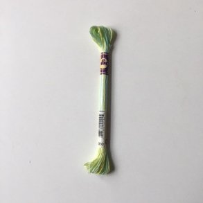 DMC multicolour 4060