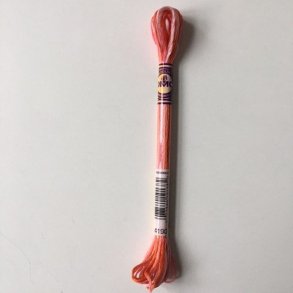 DMC multicolour 4190