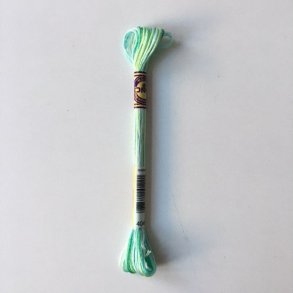 DMC multicolour 4040