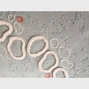 667 Hedeboringe i nye omgivelser